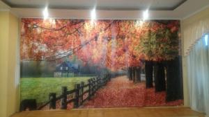 Фотография Флорекс 3