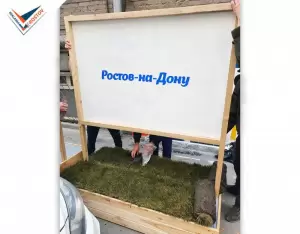 Фотография Реклама в Ростов 0
